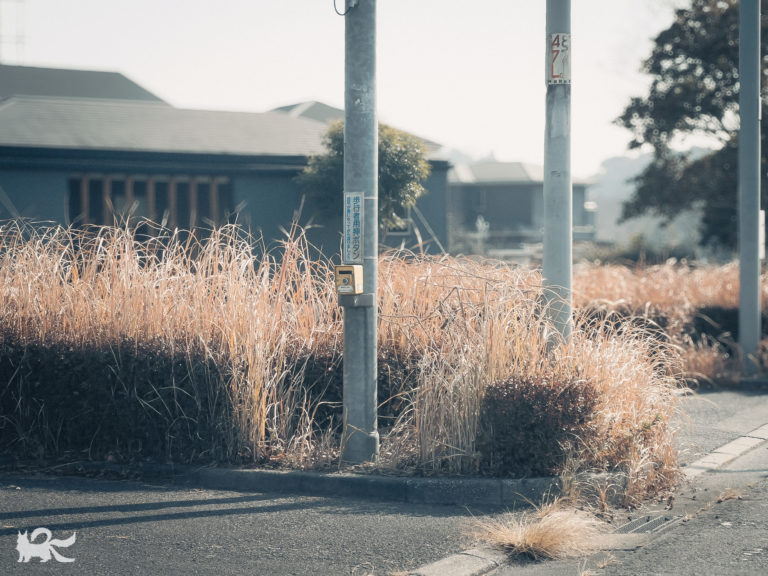 信号待ちの車窓から