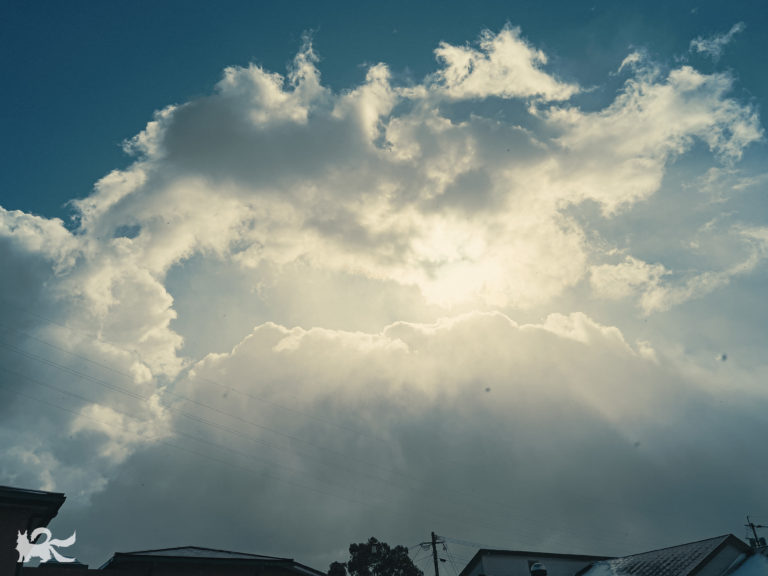2月、雪の日の空
